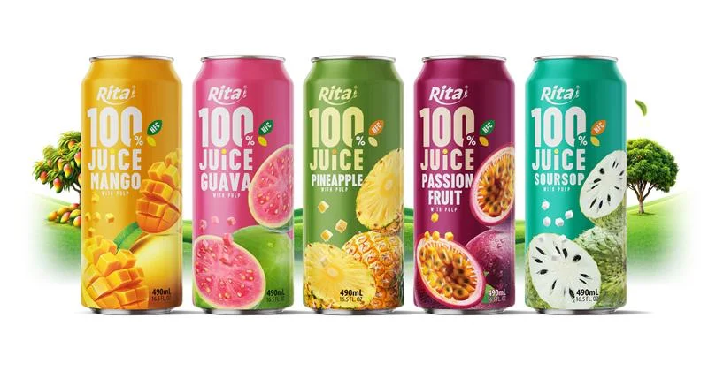 web Design 100 JUICE with Pulp 500ml can 01