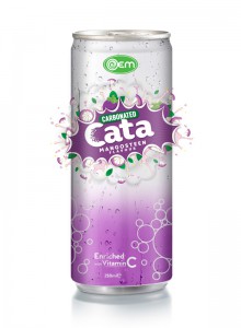 250ml OEM Carbonated Mangosteen Flavor Drink