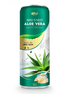 Birds nest aloe vera 