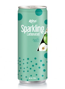 Sparkling Carbonated 250ml can 04